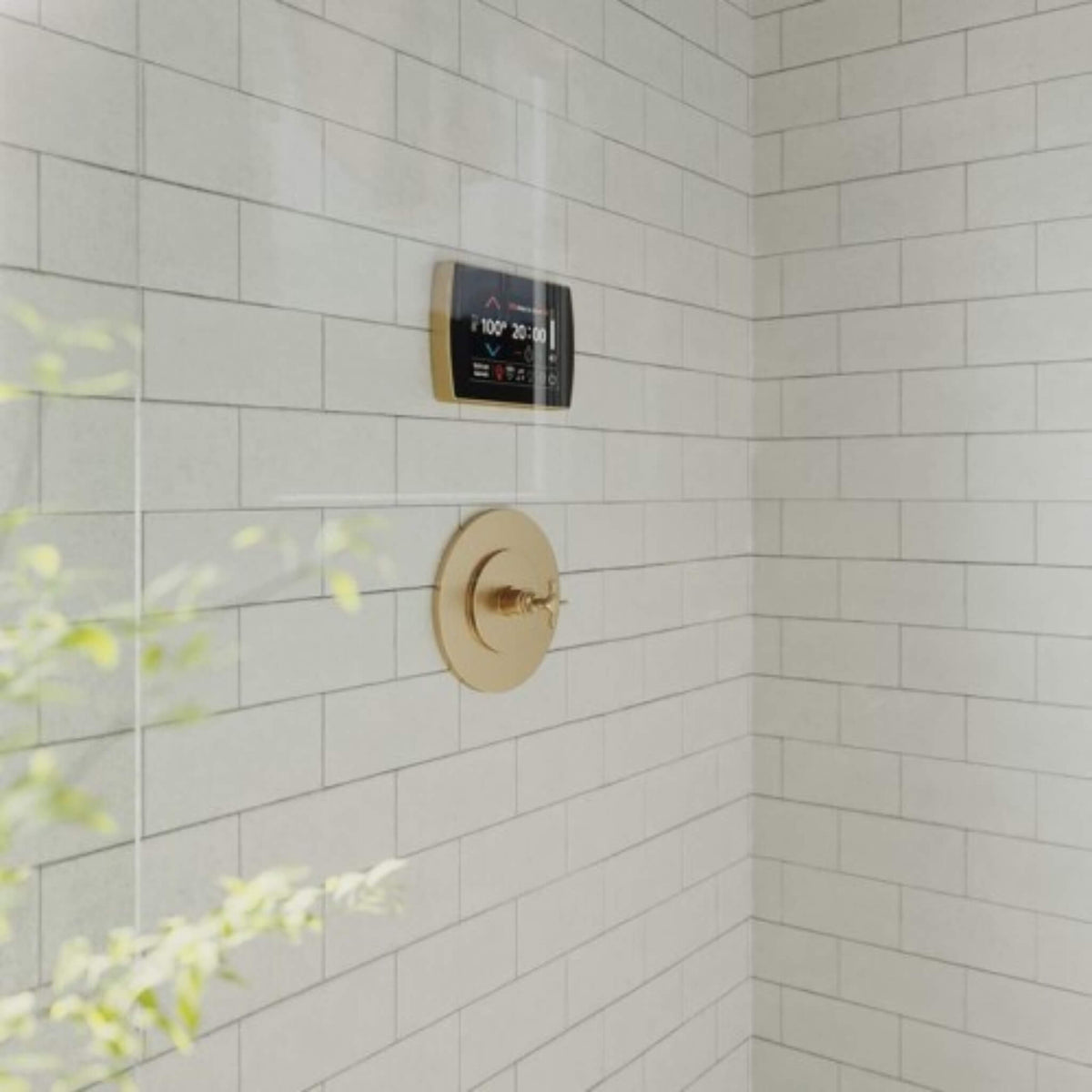 ThermaSol Total Wellness Steam Shower Package with Digital Shower Valve