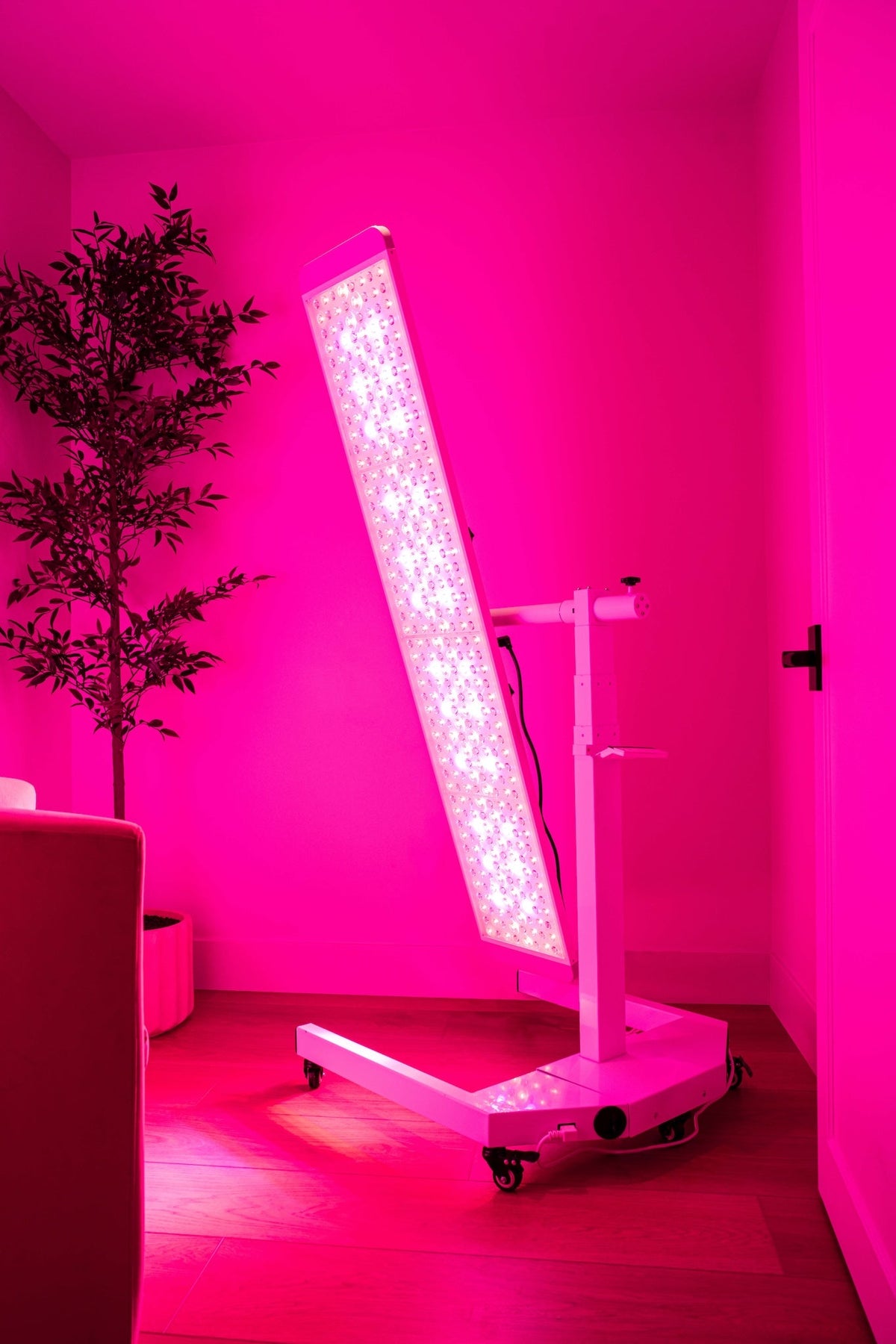 Renew Red Light Therapy Panorama Panel | Adjustable Full-Body Recovery System
